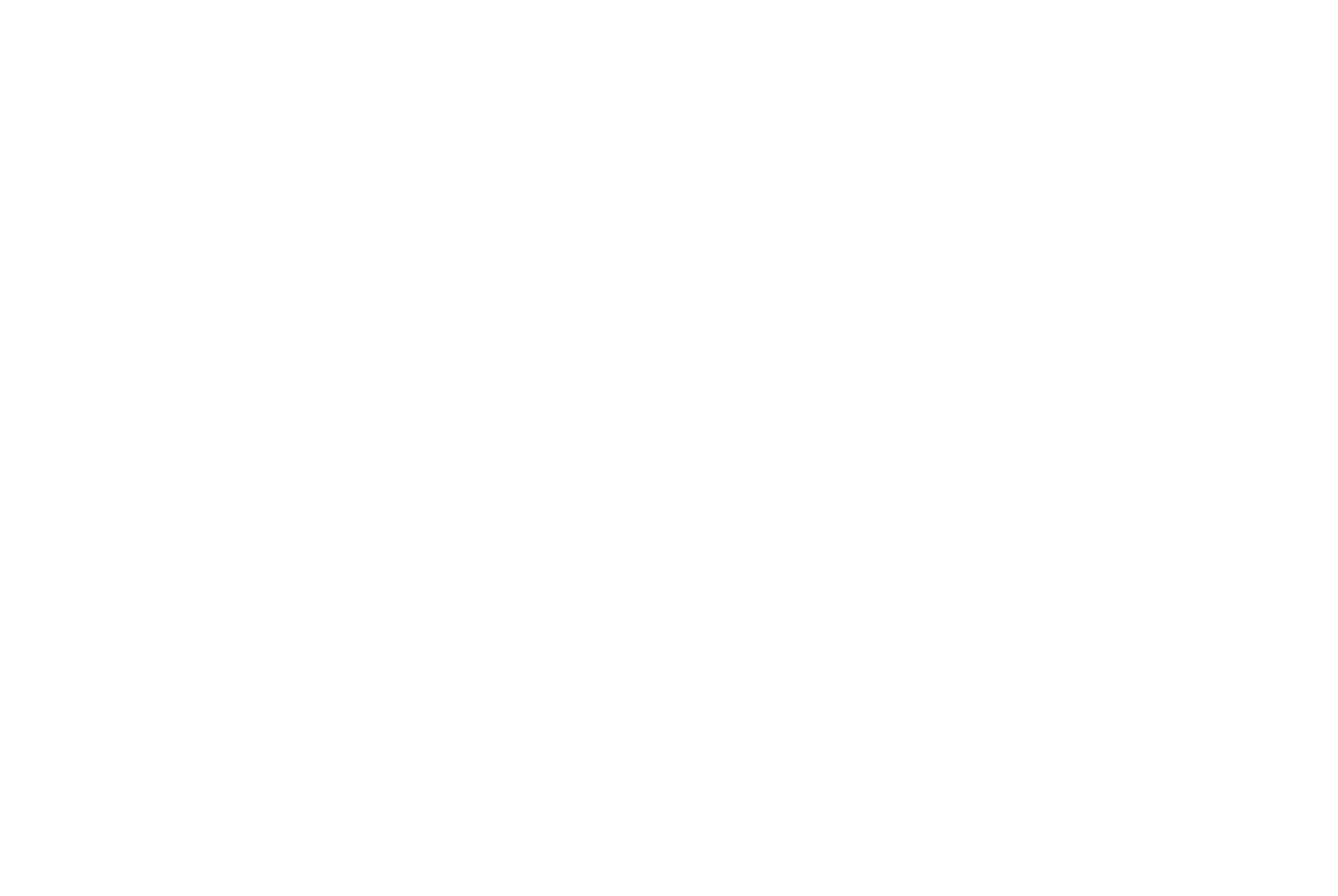 Logo Aluvision_vertical_white_web